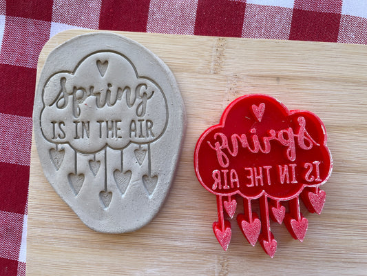 Rain Cloud "Spring is in the Air" Word Pottery Stamp - Spring themed February 2025 Mystery Box, multiple sizes available
