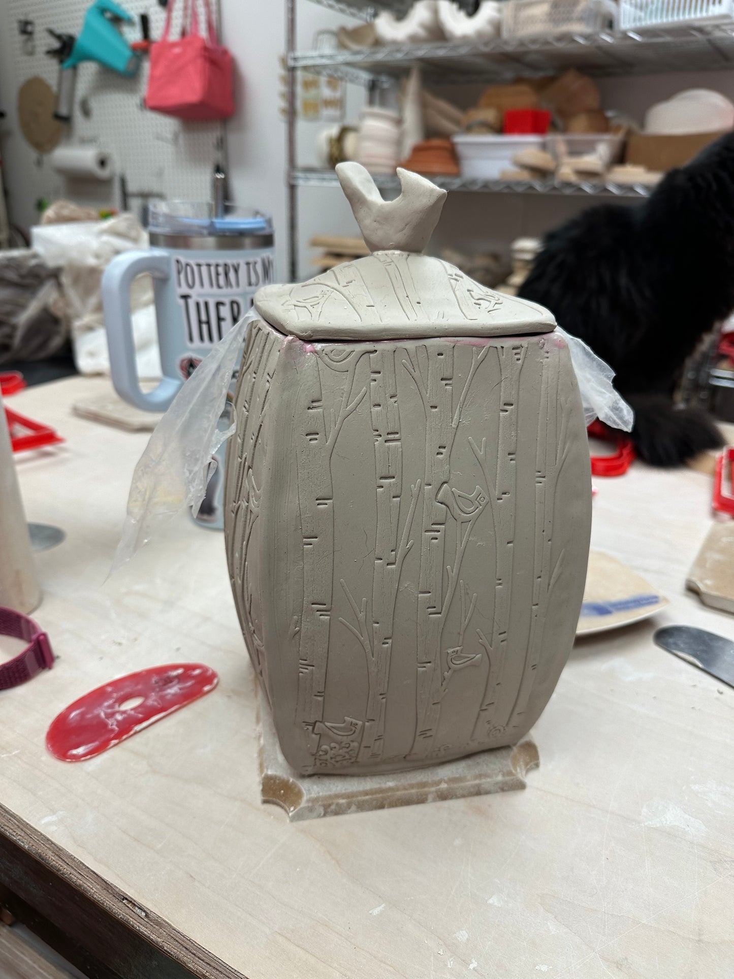 Canister sidewall Template, Clay Cutter - Vase, Lantern, Lamp, Plastic 3D printed, Multiple Sizes, Each or Set