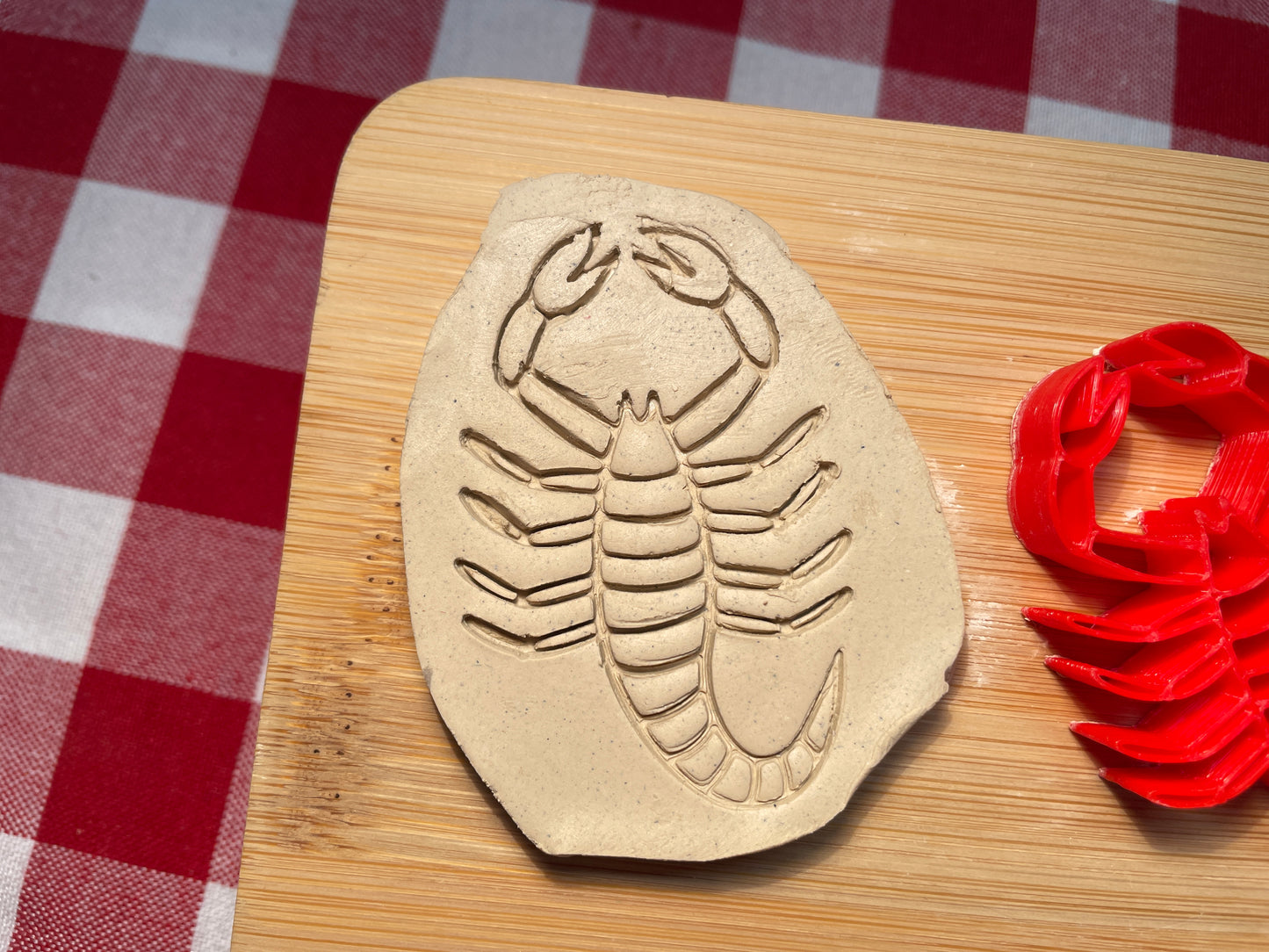 Scorpion Pottery Stamp - September 2025 - Country Western Themed Mystery Box, multiple sizes available