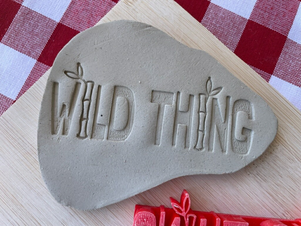 "Wild Thing" word stamp, from the April 2024 Boys themed mystery box - plastic 3D printed, multiple sizes