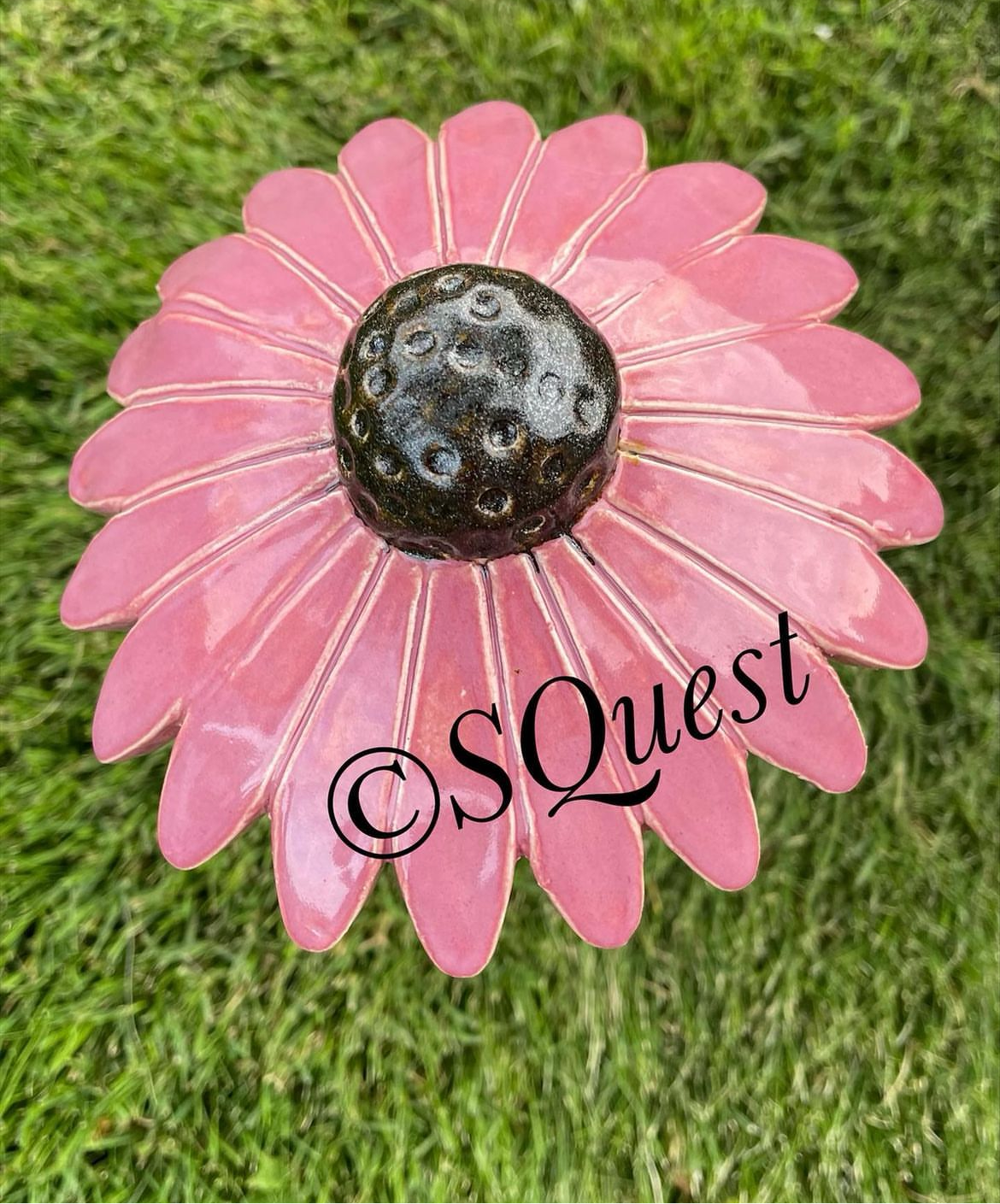 Flower Stacy Quest inspired Coneflower Design, Clay Cutter  - Plastic 3D Printed, Sizes up to 16"