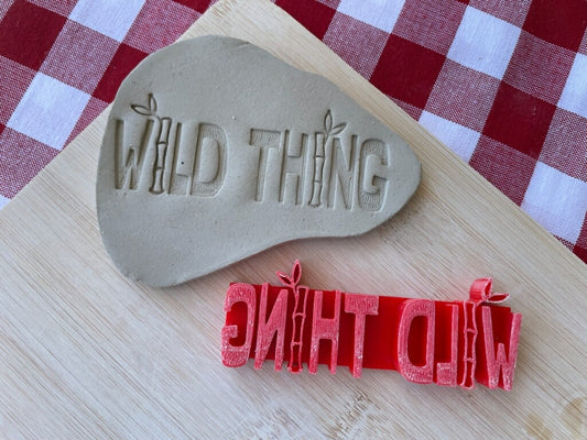 "Wild Thing" word stamp, from the April 2024 Boys themed mystery box - plastic 3D printed, multiple sizes